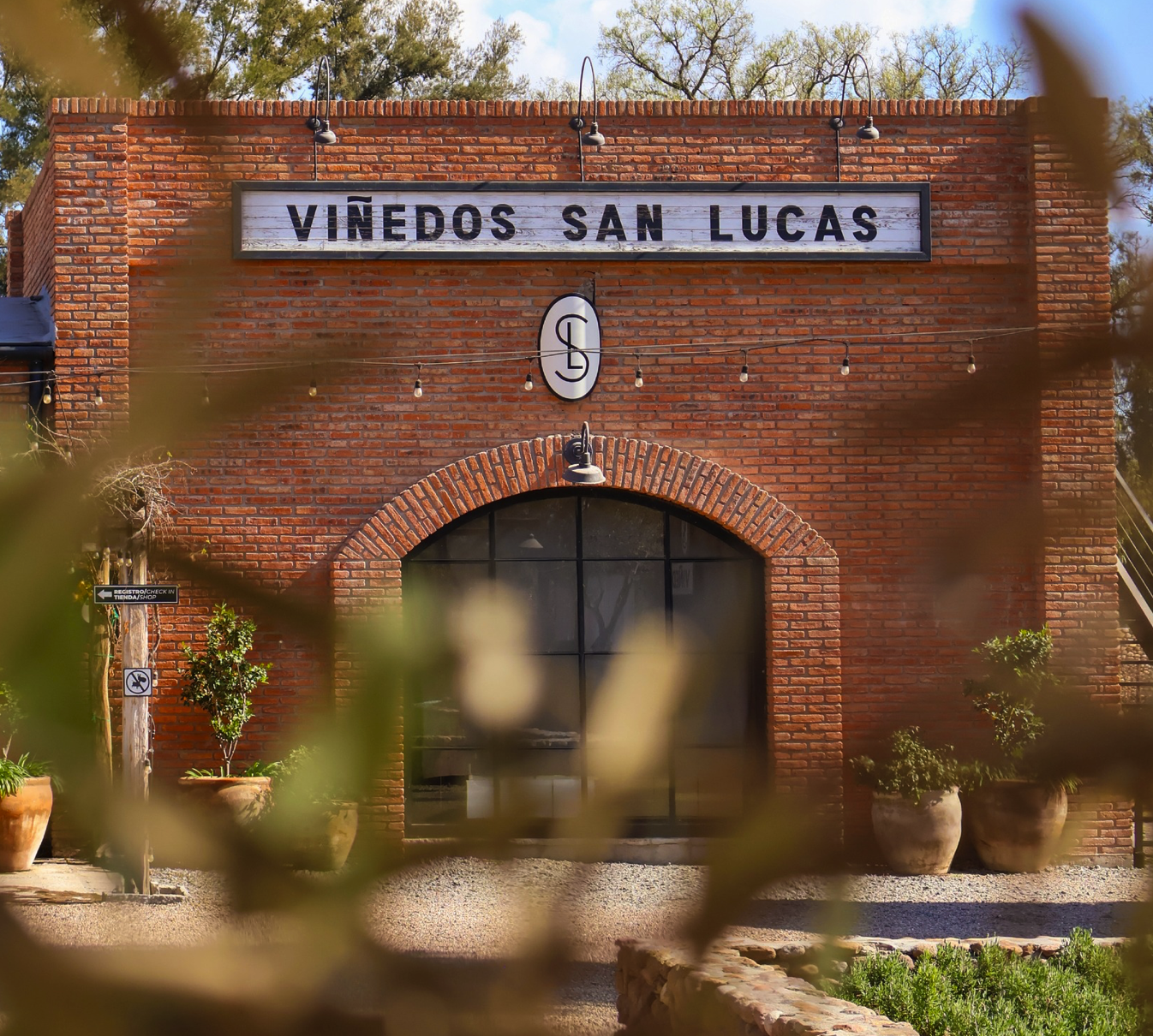 Viñedos San Lucas